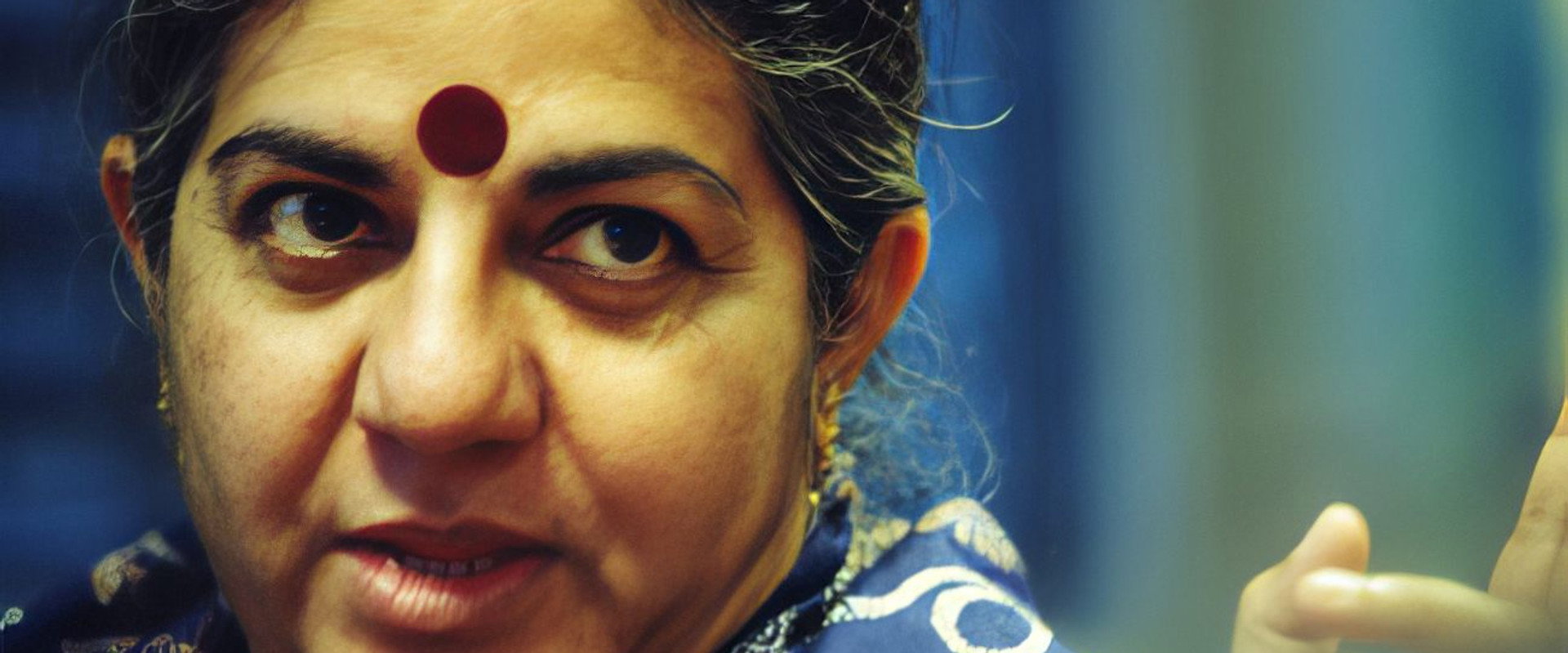 Bullshit's banner image