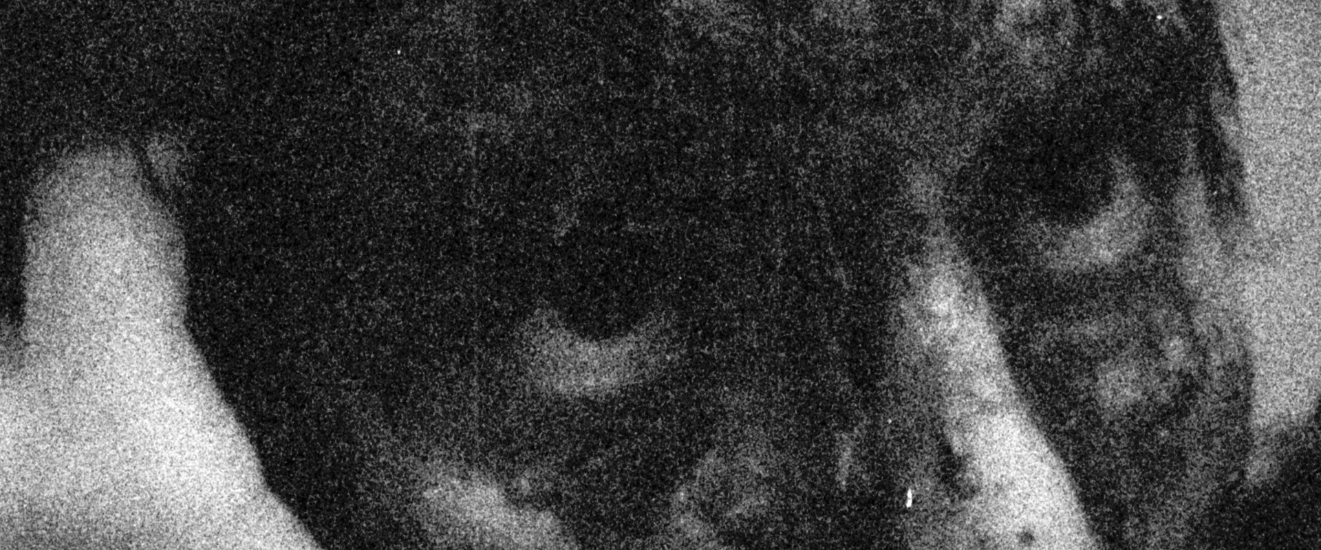 Pascal's banner image