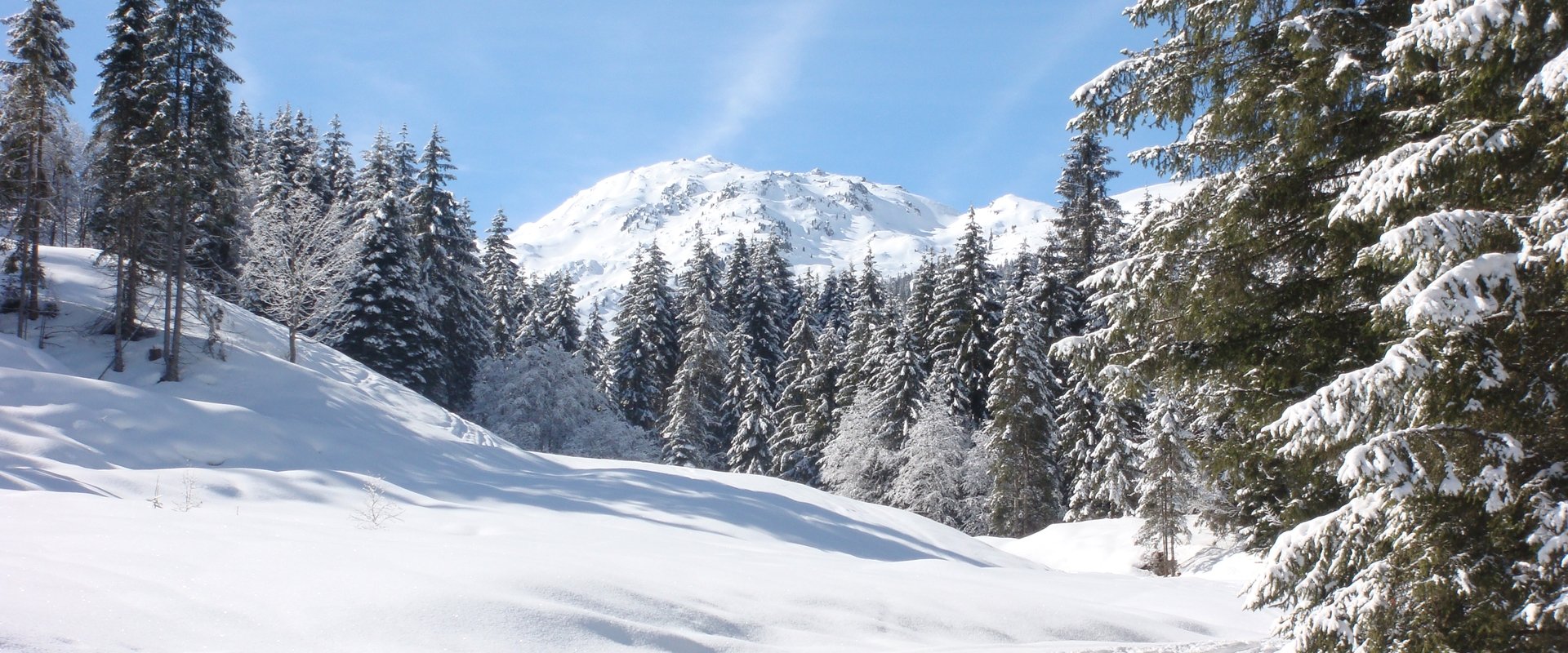 Weißblaue Wintergeschichten