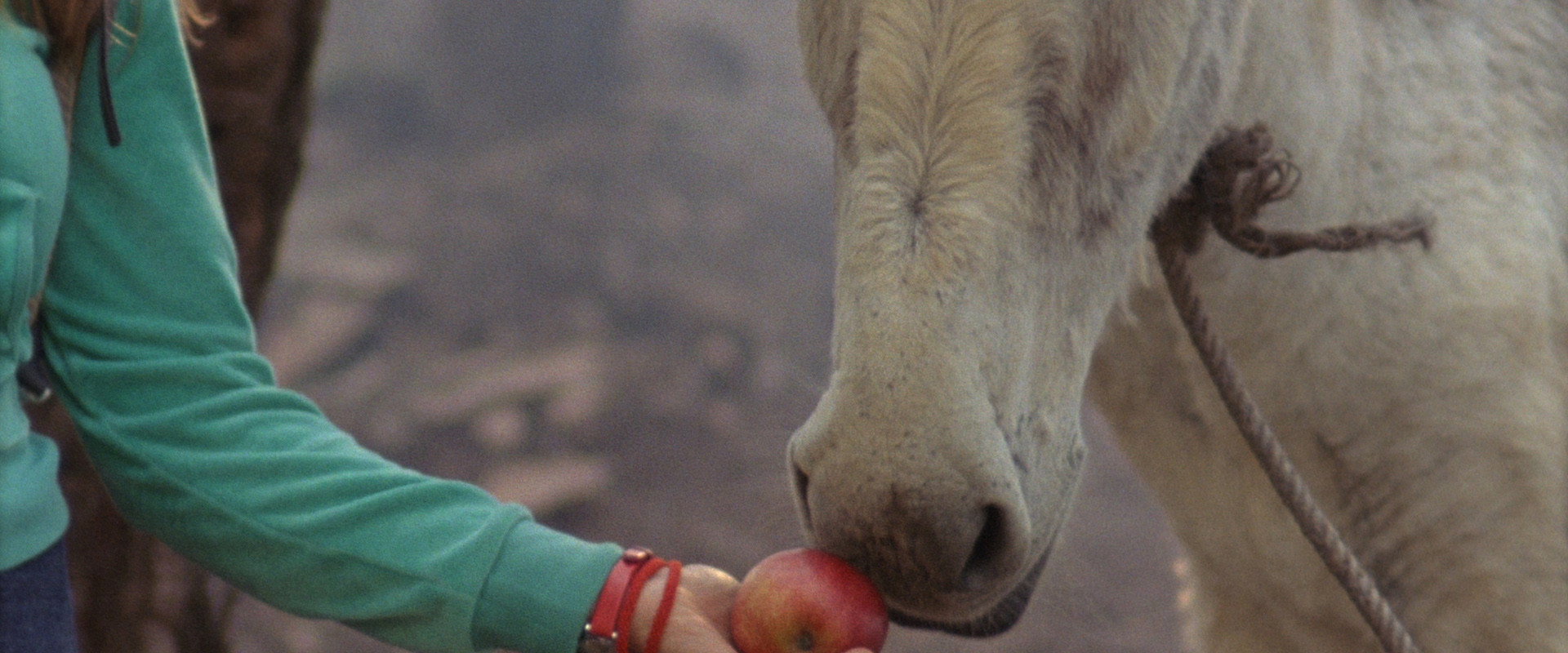 Nameless Heitor's banner image