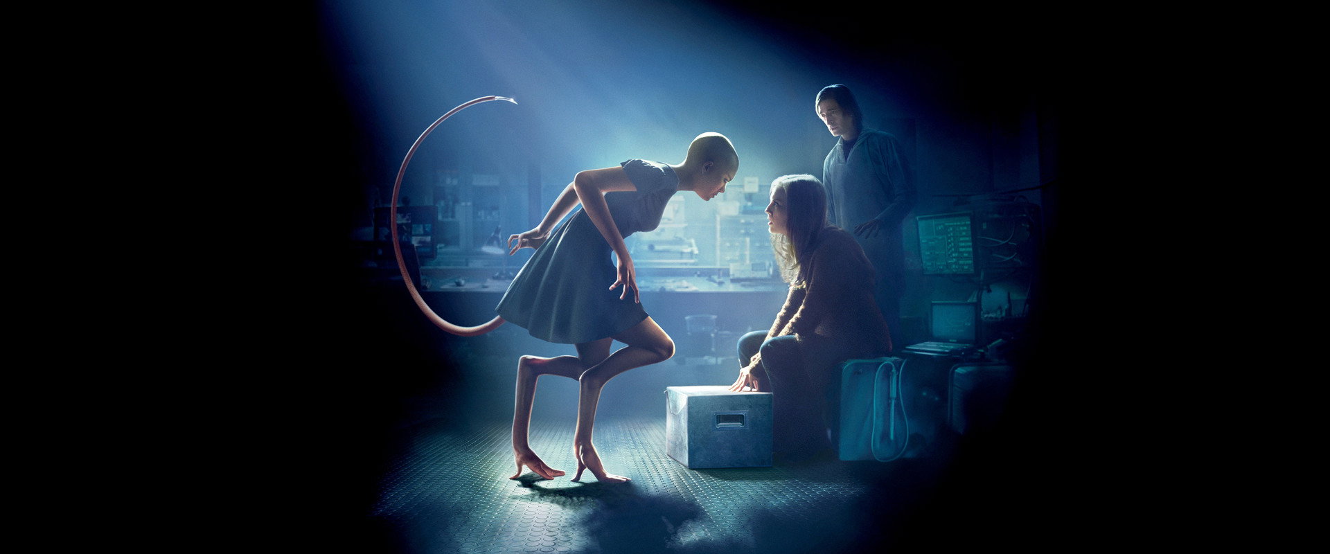 Splice's banner image