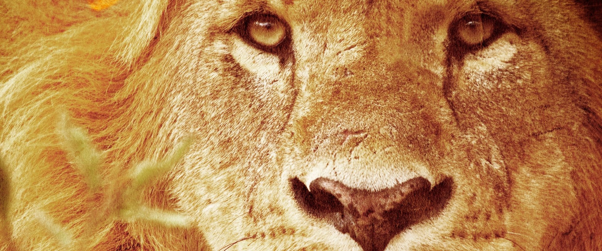 Predators Up Close with Joel Lambert