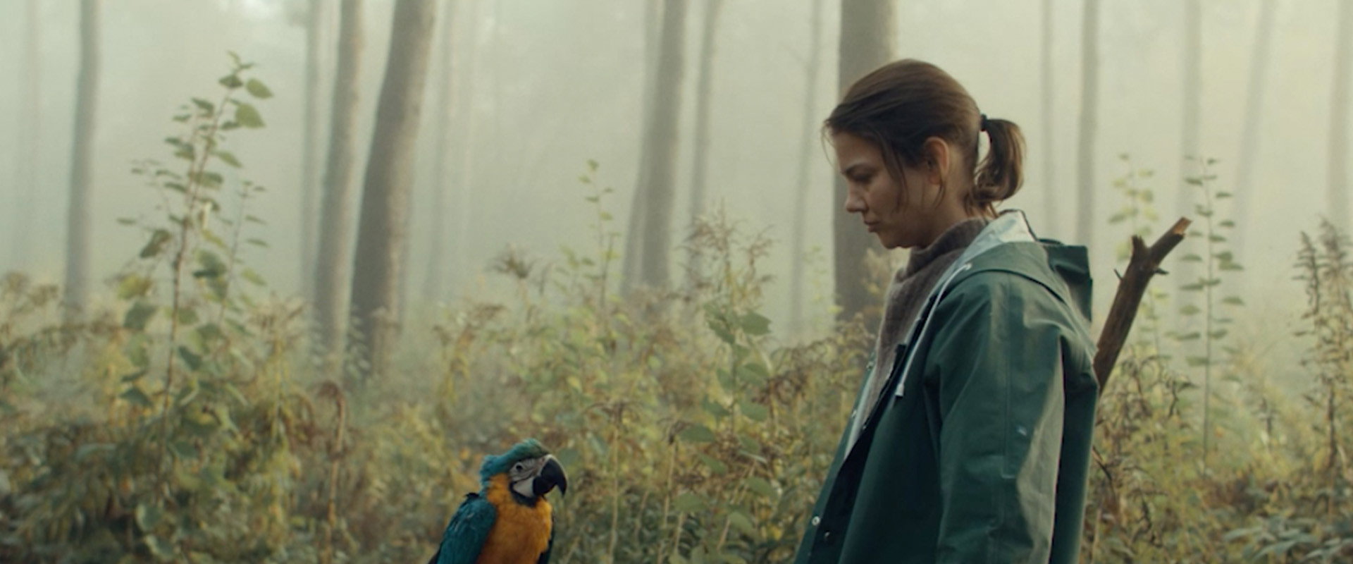 Kommt ein Vogel geflogen's banner image