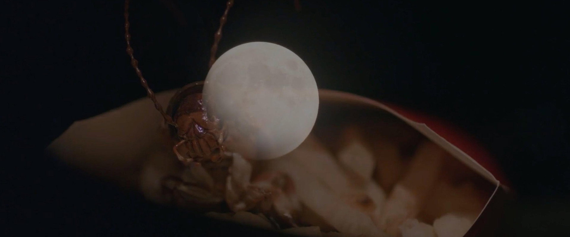 Roach Trip's banner image
