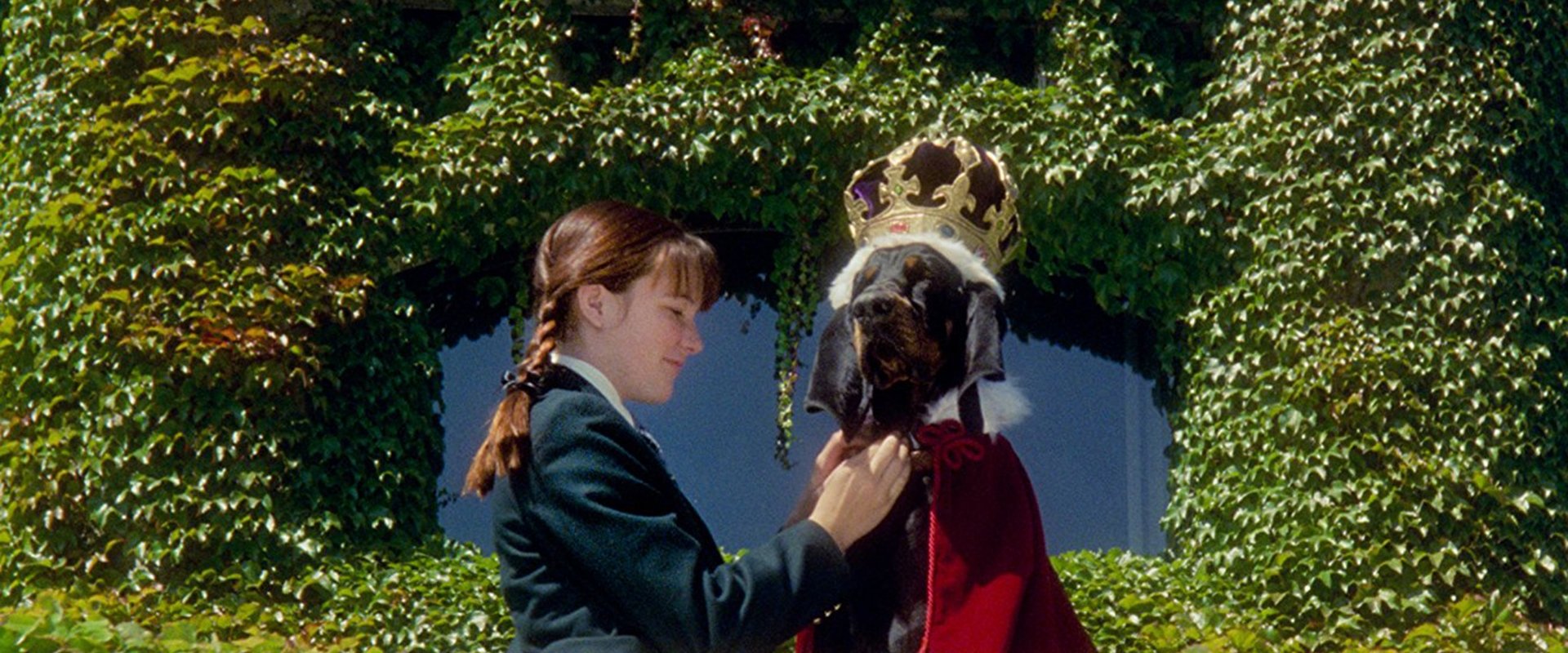 The Duke