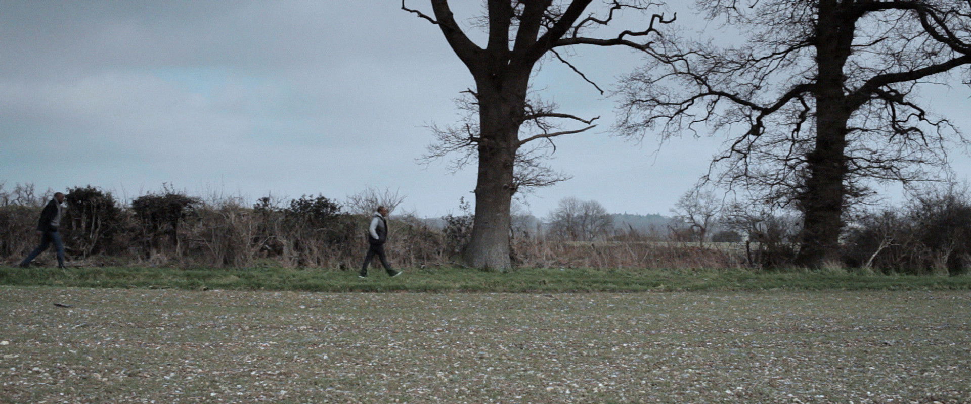 Not Far from the Tree's banner image