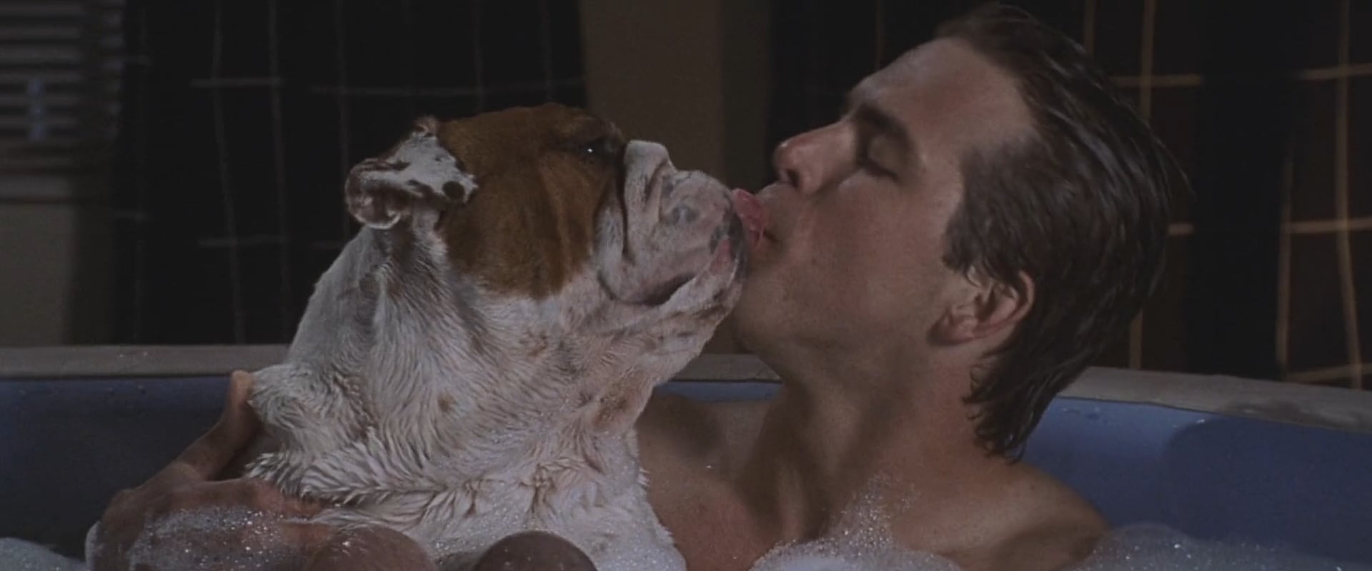 National Lampoon's Van Wilder