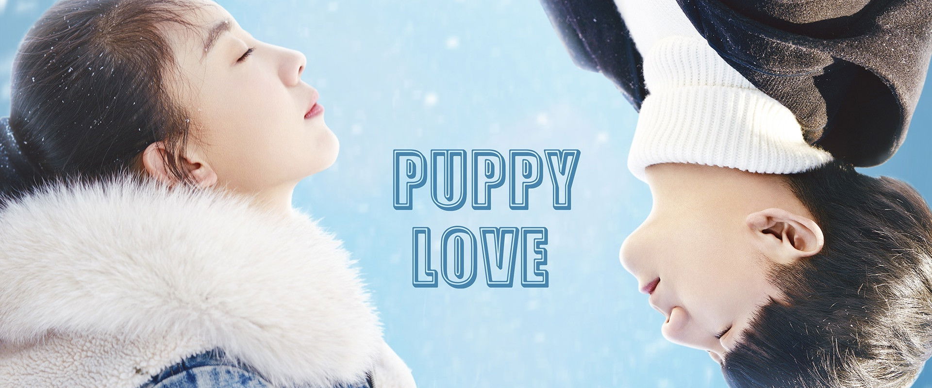Puppy Love's banner image