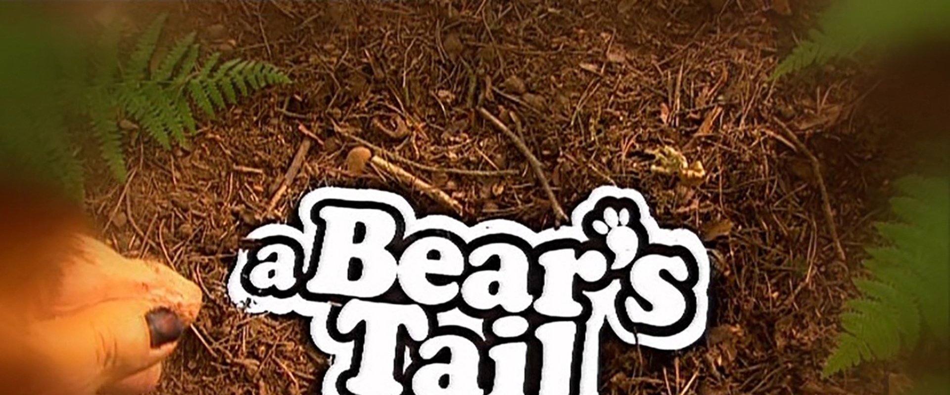 A Bear's Tail