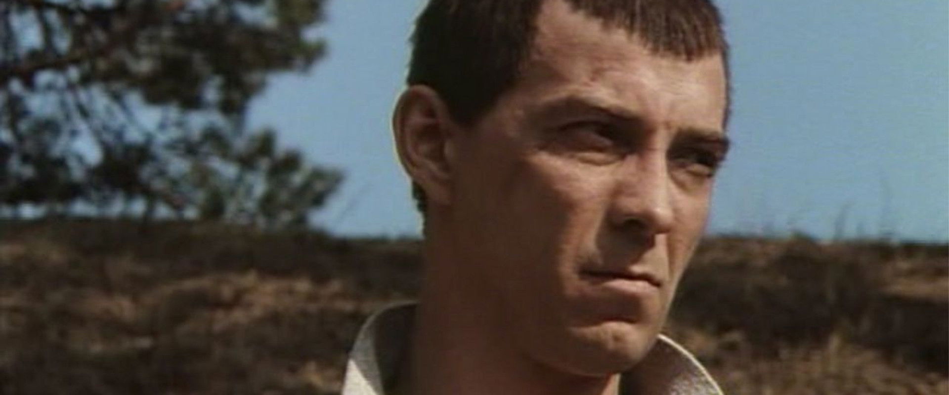 All the Things We Dreamt of for So Long's banner image