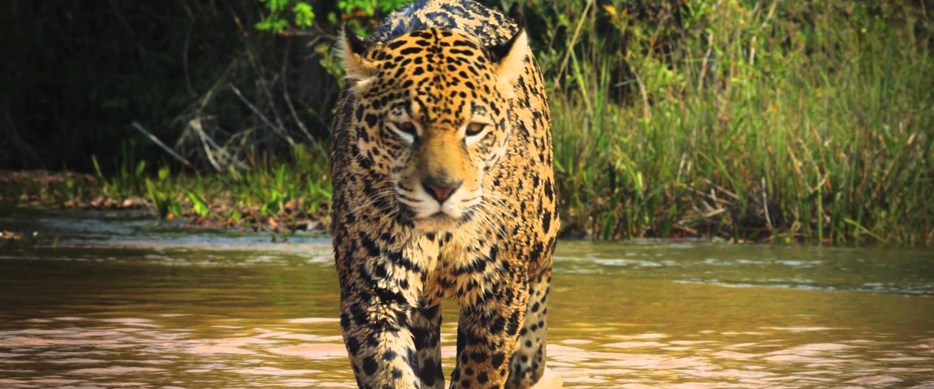 Colombia: Wild Magic