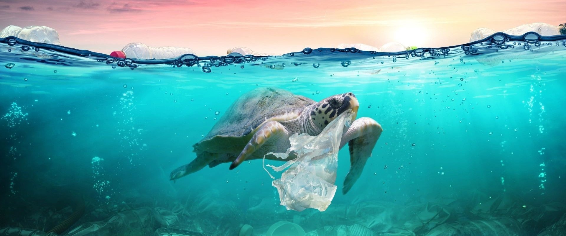 Plastic Earth