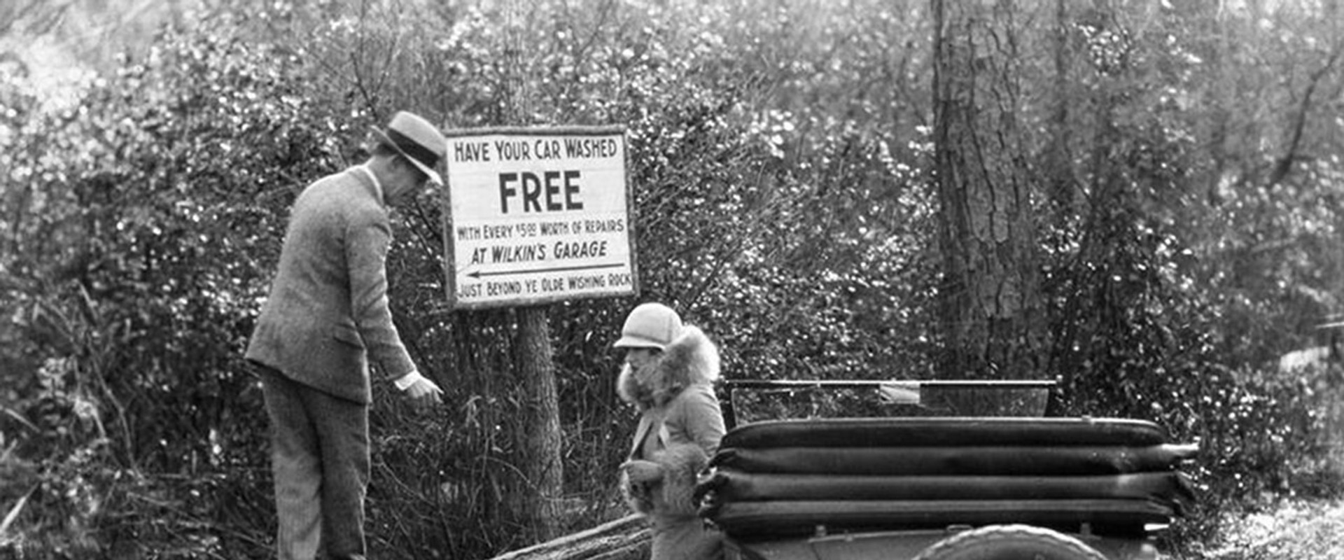 The Untamed Lady's banner image