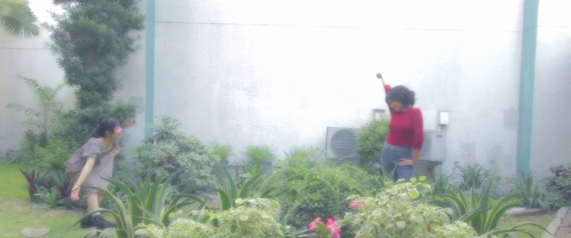 The Vampire's banner image