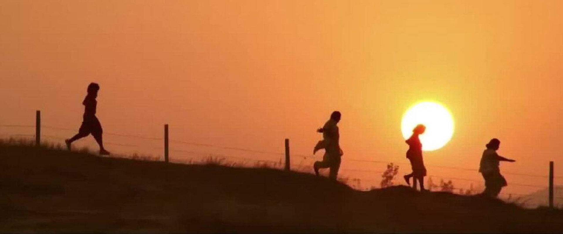 Jayjaykar's banner image
