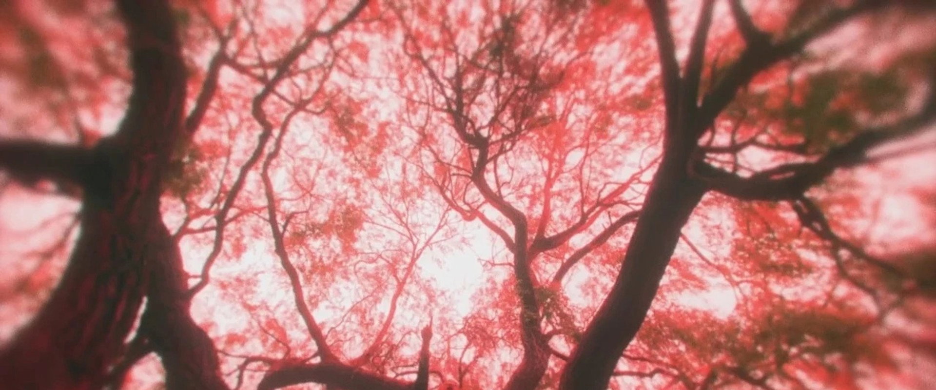 A Little More Flesh's banner image