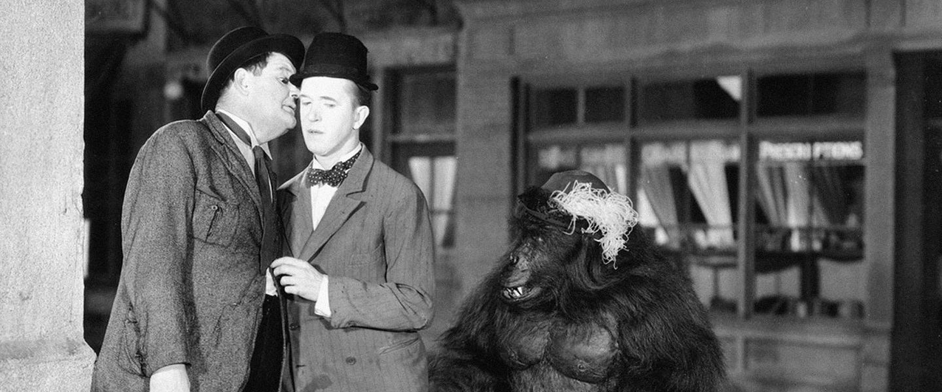 The Chimp