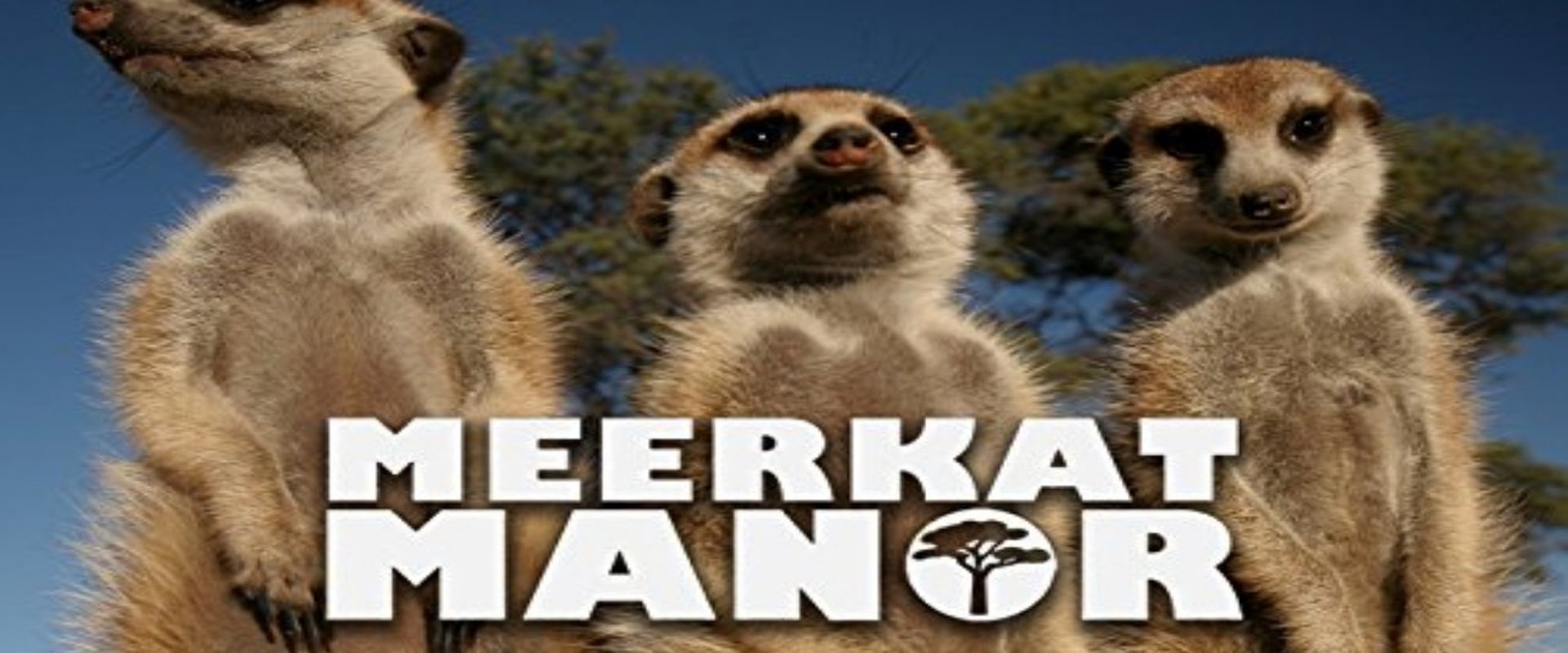 Meerkat Manor