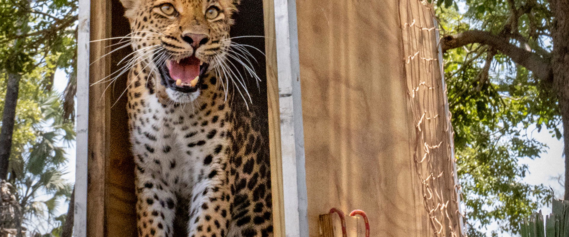 Return of the Predators's banner image