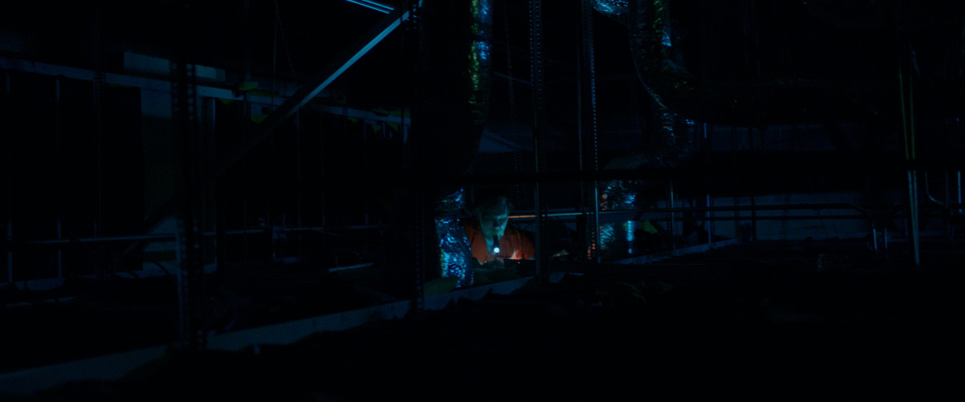 The Walls's banner image