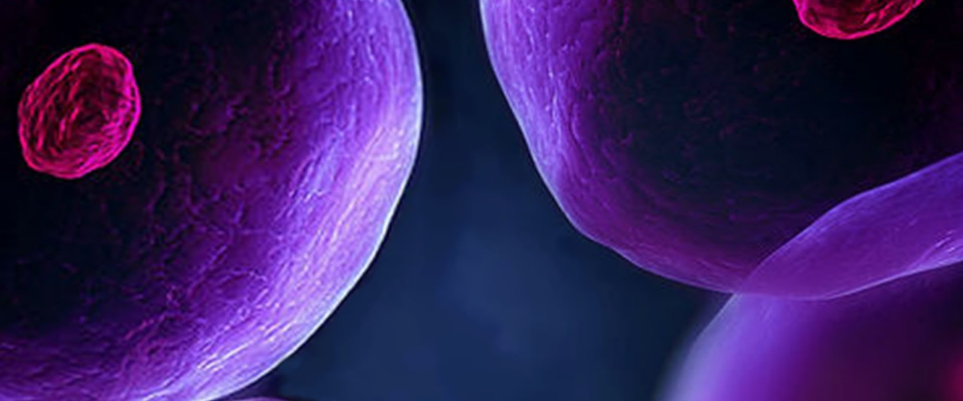 The Cell
