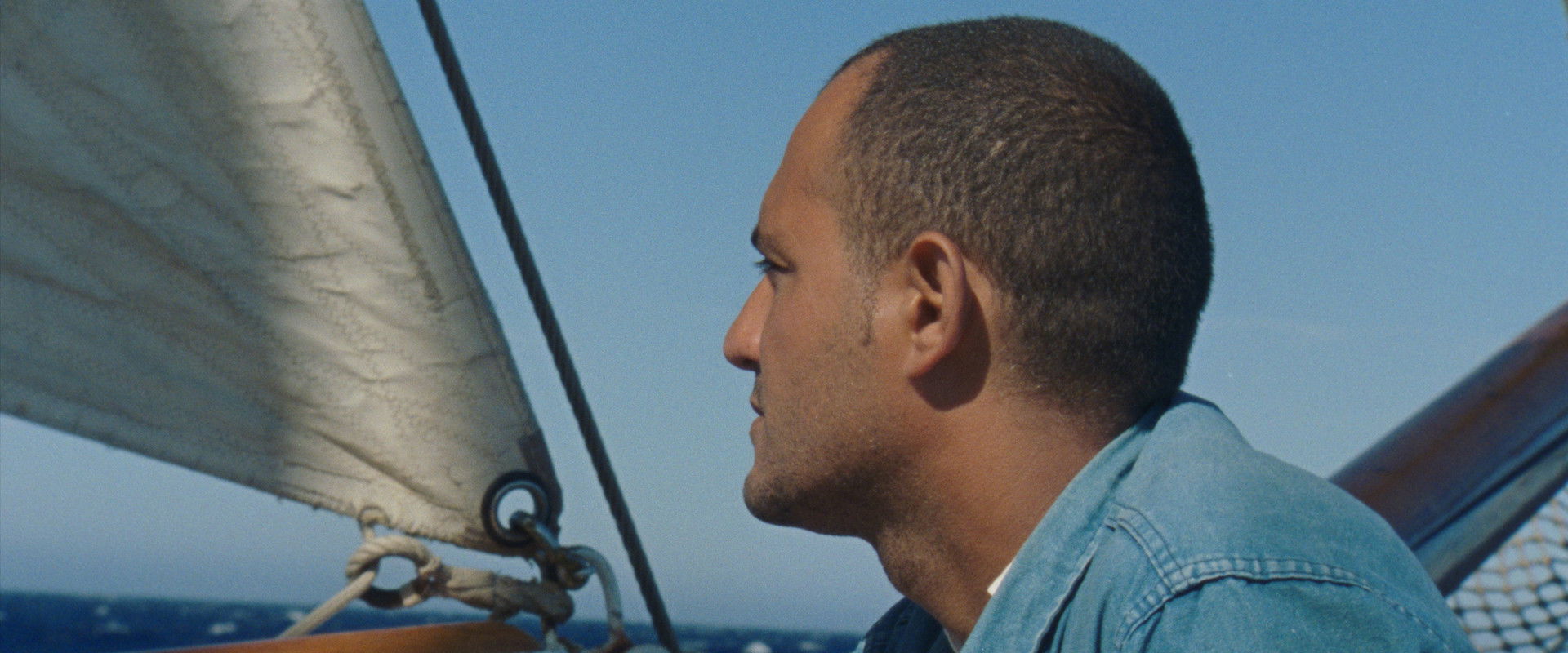 Human Flowers of Flesh's banner image