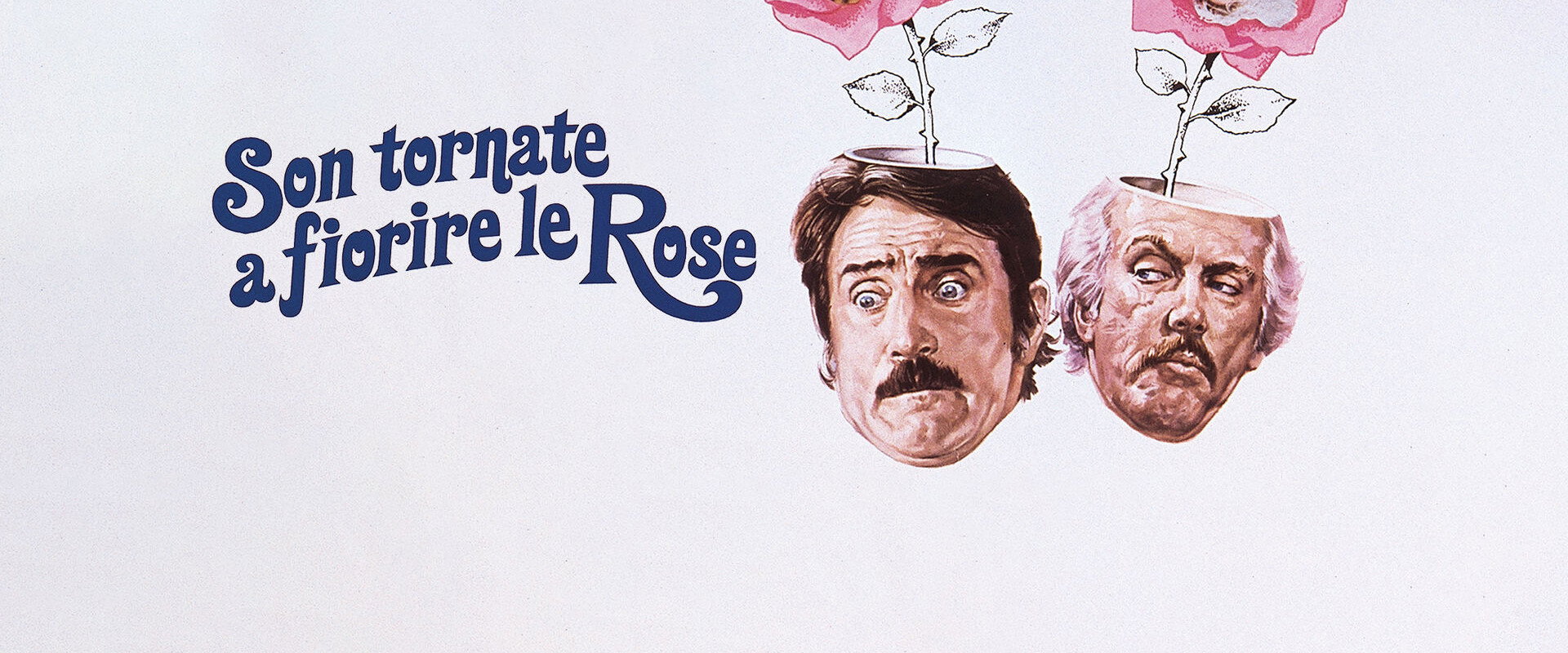 Son tornate a fiorire le rose's banner image