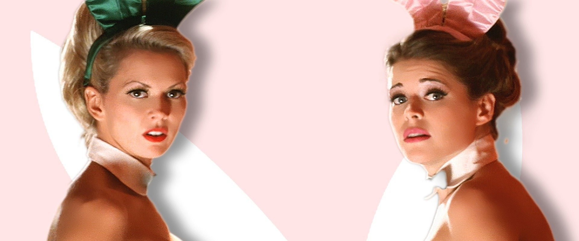 A Tale of Two Bunnies's banner image