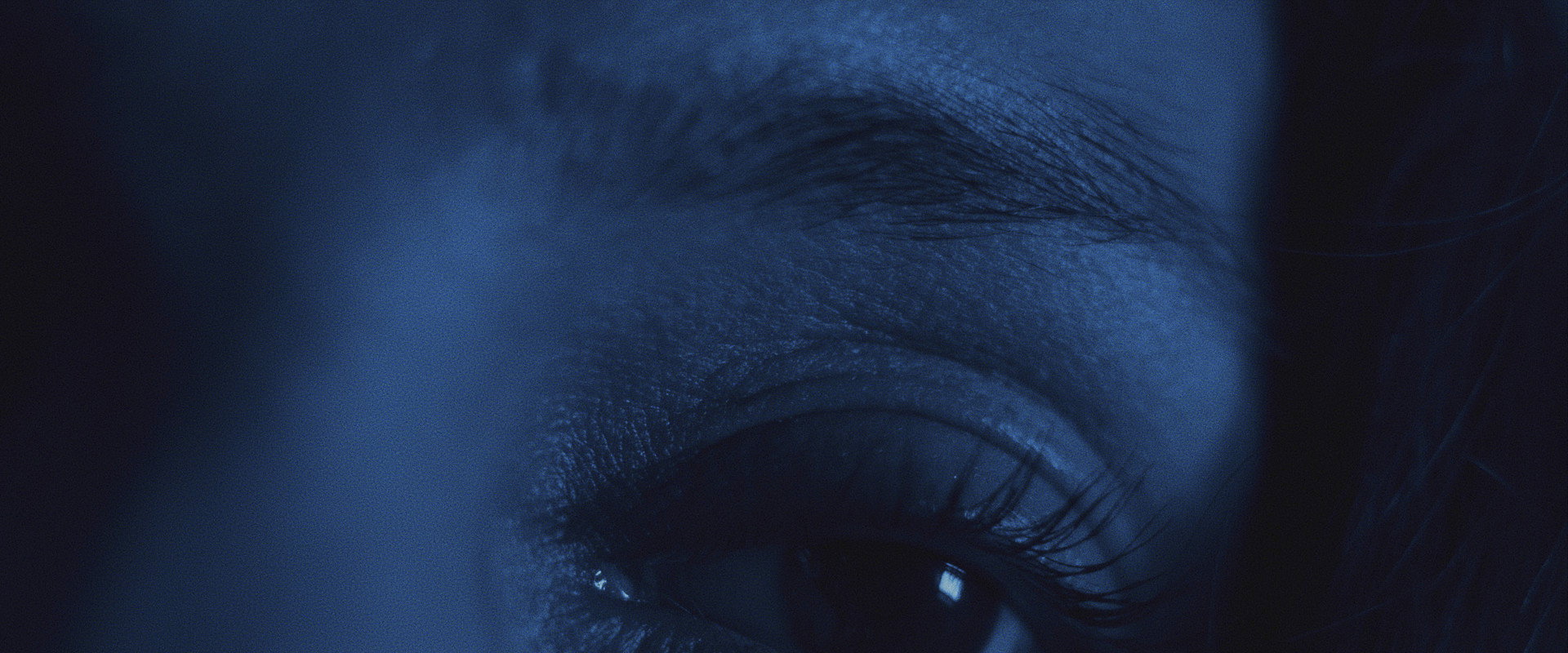 Observations's banner image