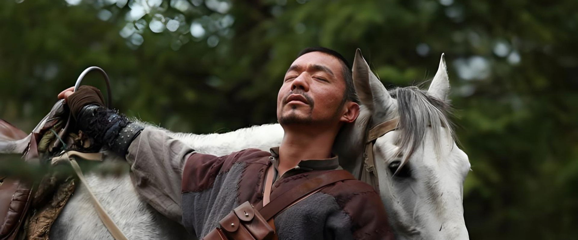 桥隆飙's banner image