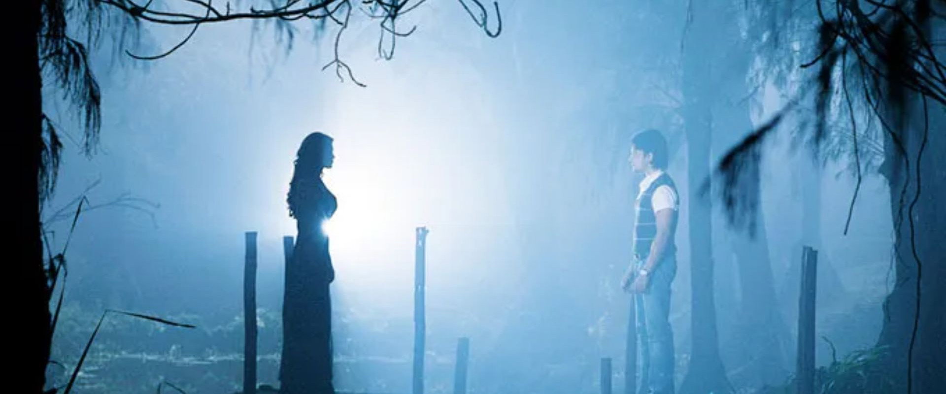 Shaapit's banner image