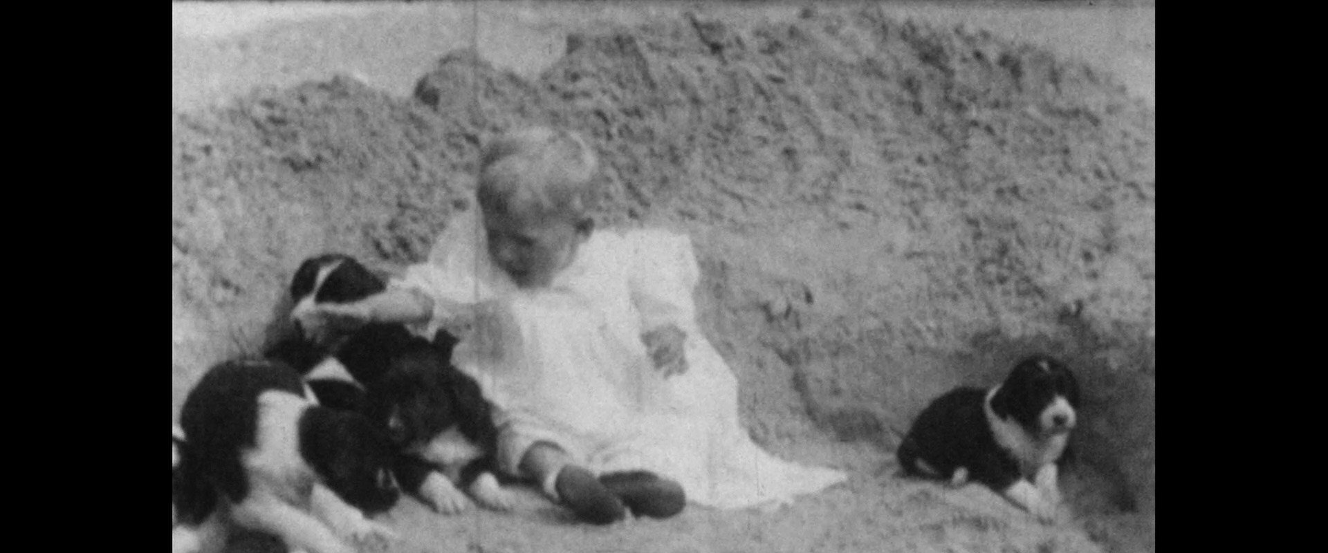 Wonder Dogs! Canine Stars of the Silent Era (1898-1928)'s banner image
