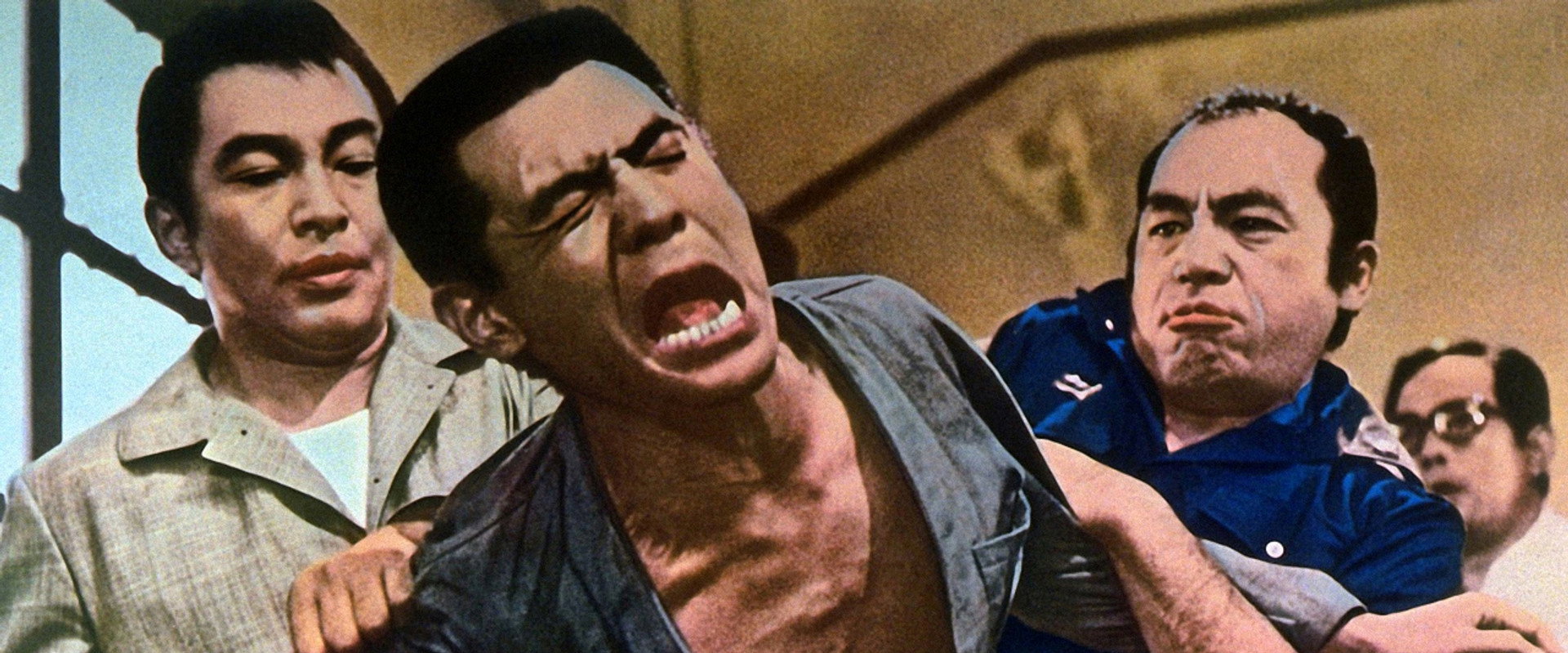 The Viper Brothers Rage Again's banner image