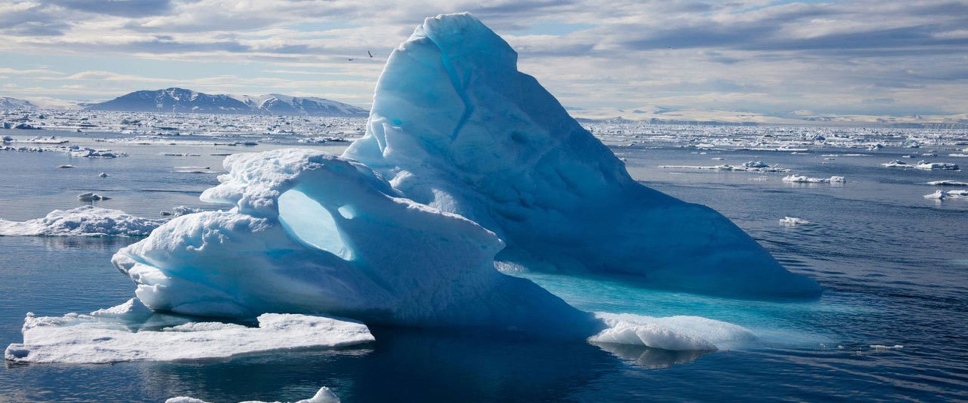 To the Arctic 3D