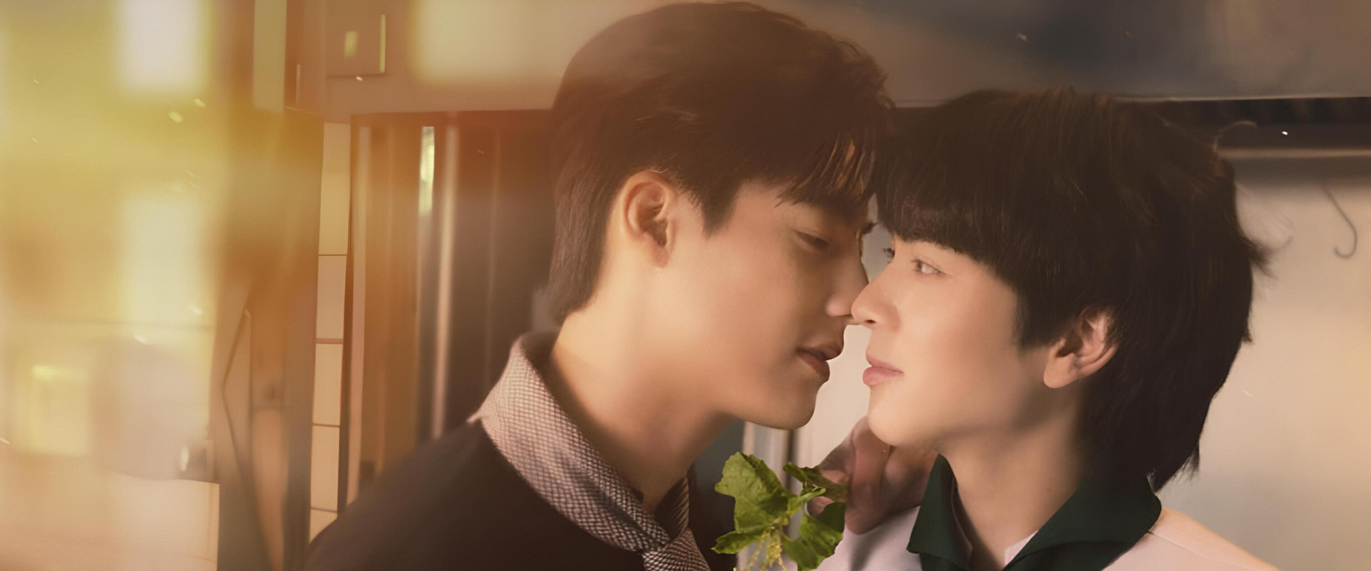 This Love Doesn't Have Long Beans