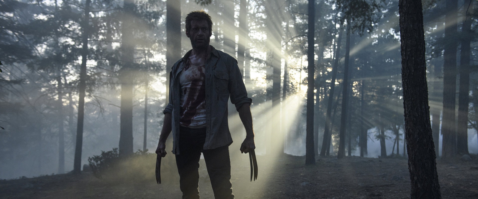 Logan's banner image