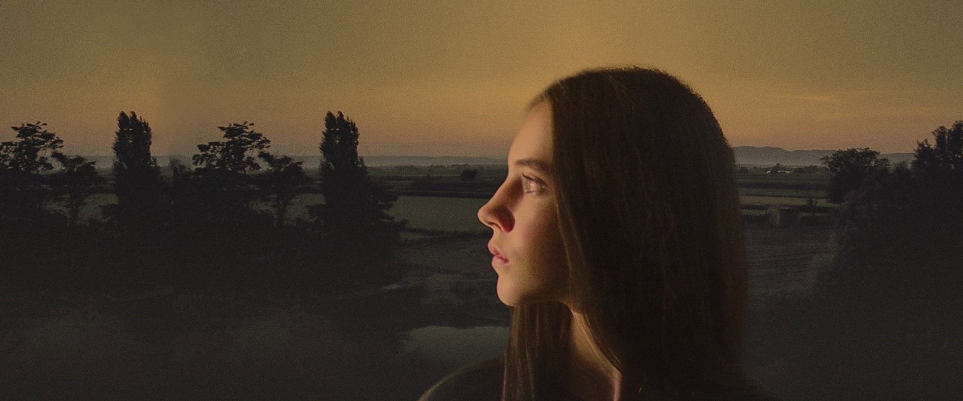 The Wilder's banner image