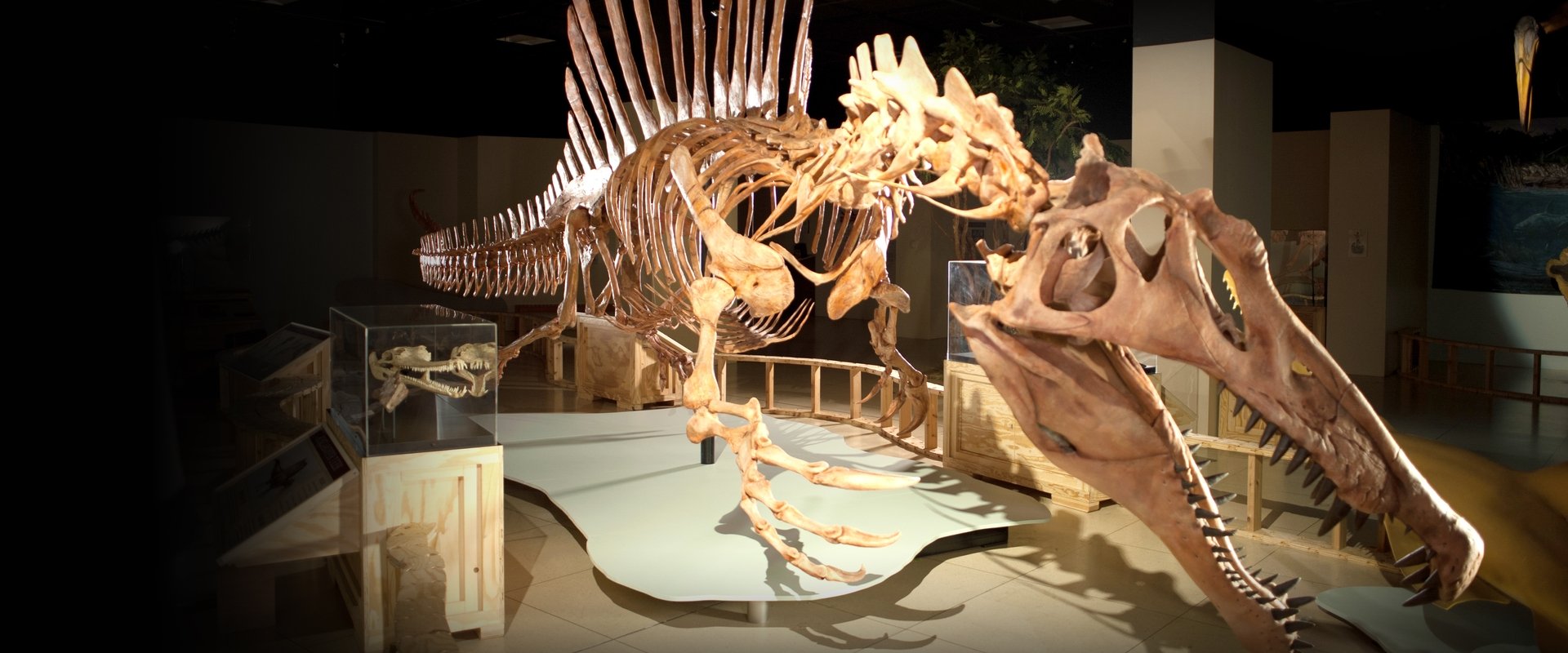 Top 10 Biggest Beasts Ever