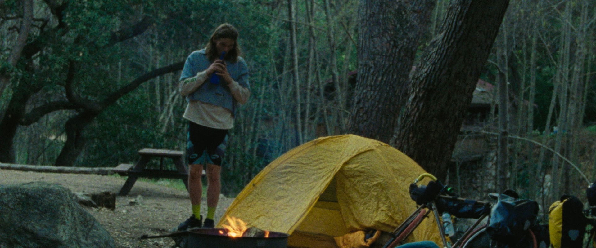 Workers' Comp's banner image