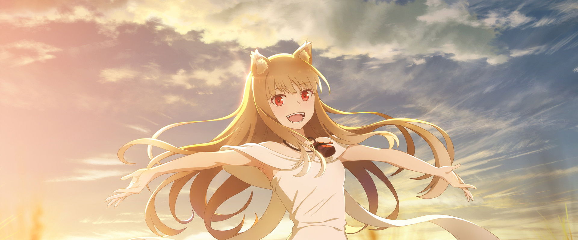 Spice and Wolf: MERCHANT MEETS THE WISE WOLF