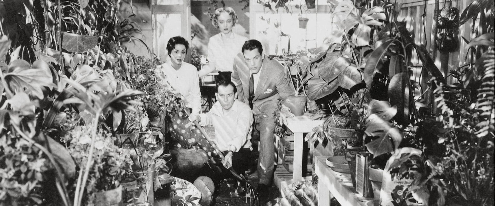 Invasion of the Body Snatchers's banner image