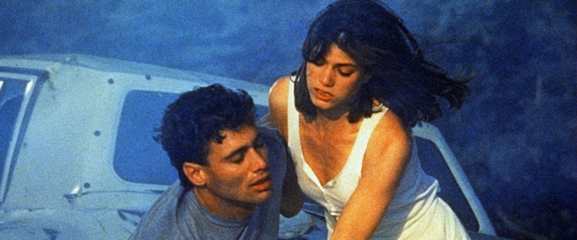 Wildfire's banner image