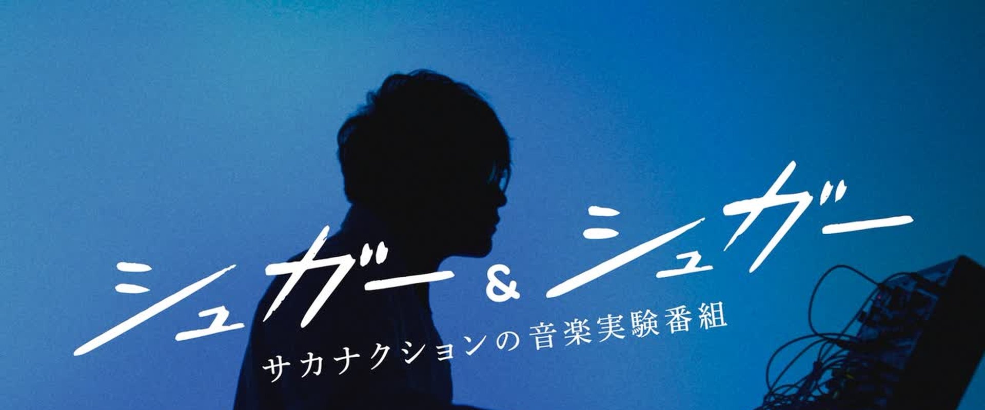 “シュガー&シュガー”サカナクションの音楽実験番組