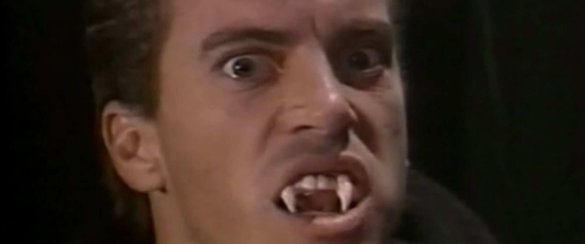 Shadows in the Dark's banner image