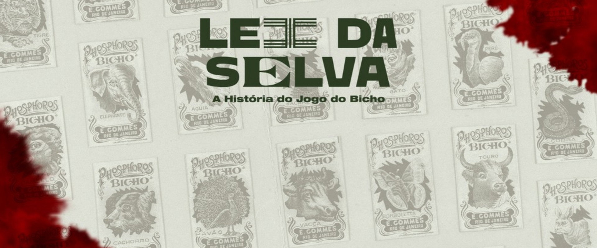 Lei da Selva: A História do Jogo do Bicho