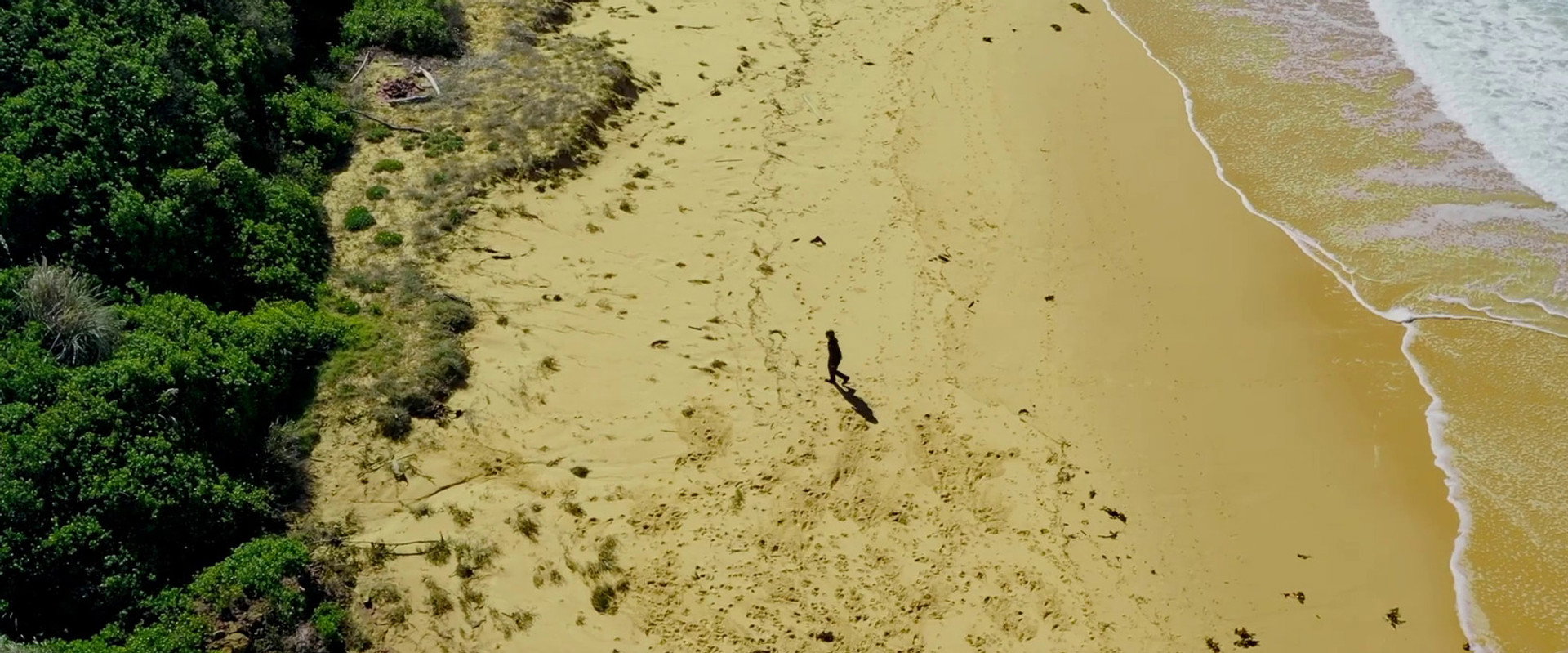 Comrade's banner image