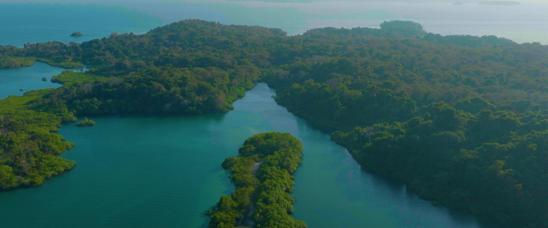 Survivor Québec's banner image