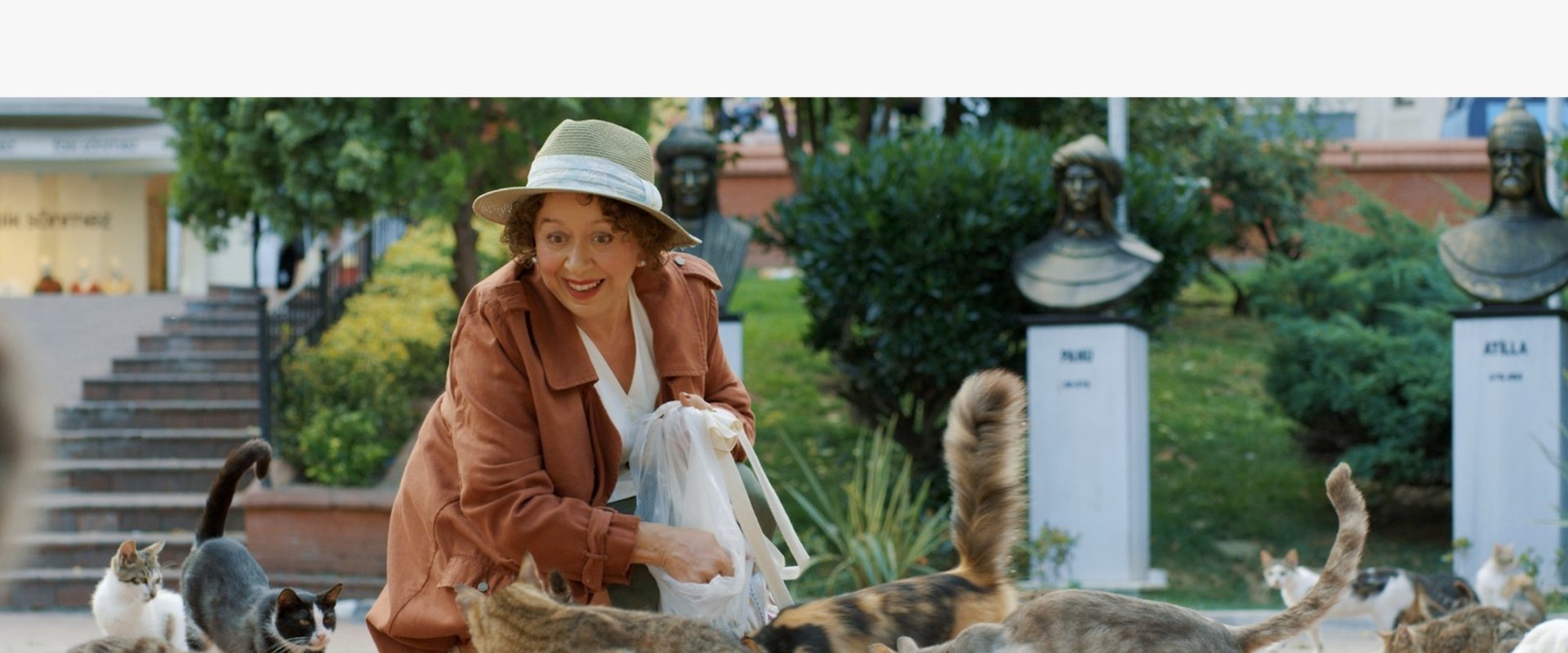 Mahallenin Bazı Kedileri filmi için arka plan görseli