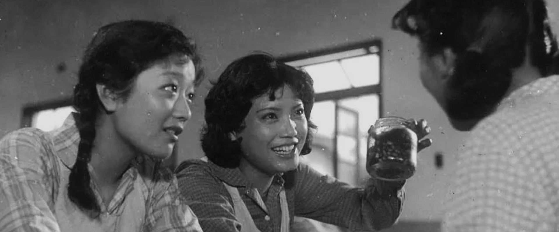 播种幸福的人's banner image