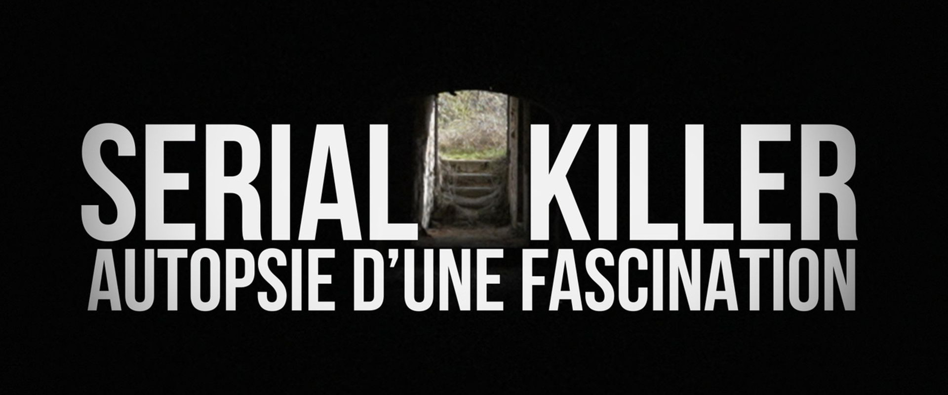Serial killer, autopsie d'une fascination